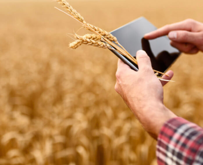 Imagem ilustrativa tecnologia na agricultura