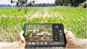 Imagem tablet no campo - Nutrição de plantas